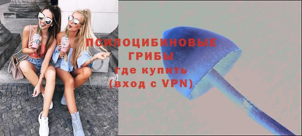 дживик Киренск