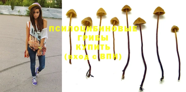 дживик Киренск