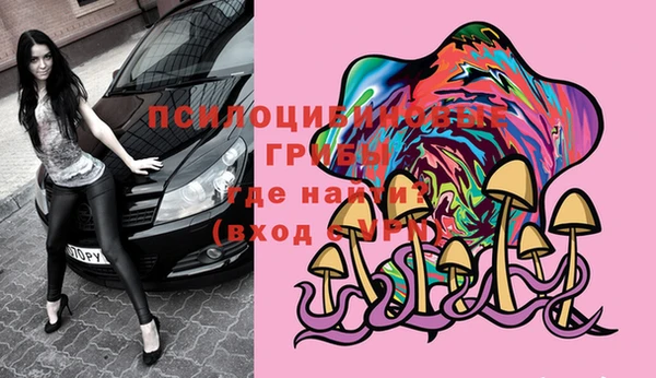 прущие грибы Кинешма
