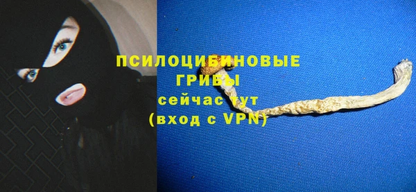 прущие грибы Кинешма