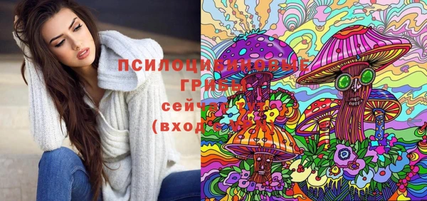 дживик Киренск