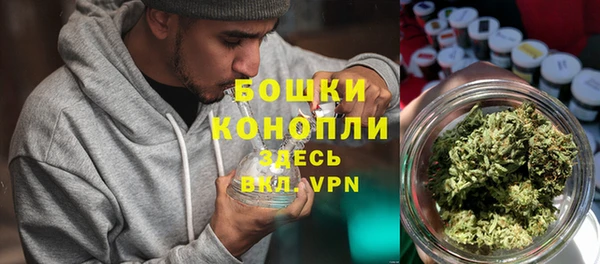 прущие грибы Кинешма