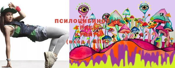 прущие грибы Кинешма