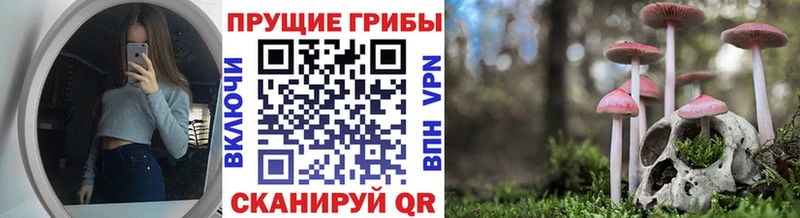 Галлюциногенные грибы ЛСД  Купить  Заполярный 